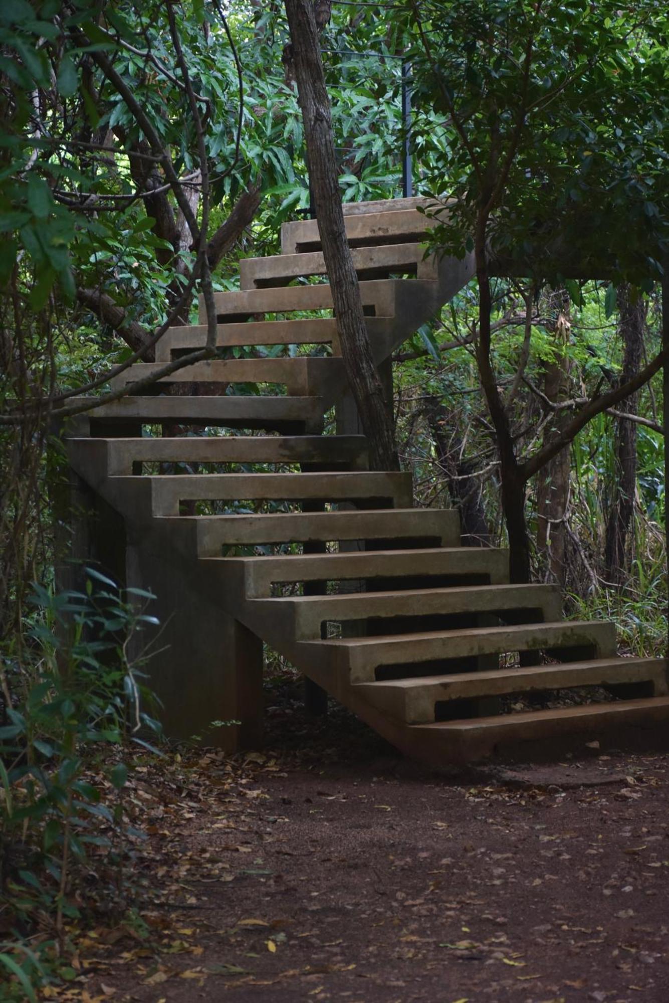 Wild Grass Nature Resort Sigiriya Exterior foto