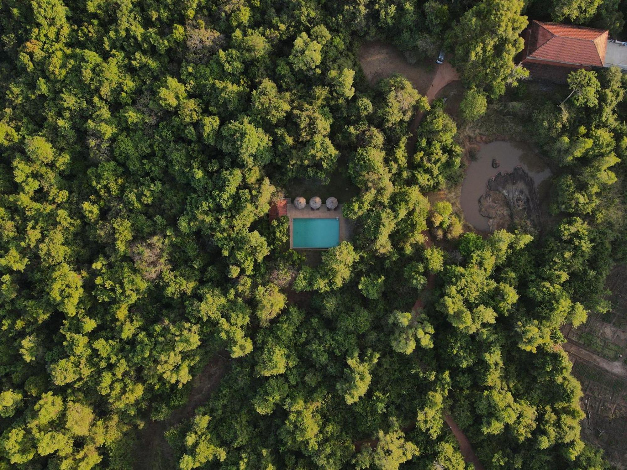 Wild Grass Nature Resort Sigiriya Exterior foto